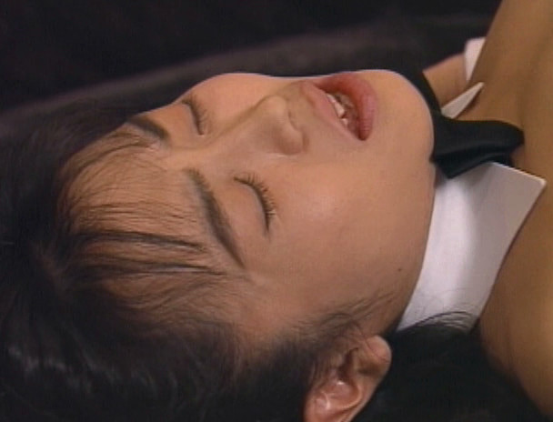 ヴィーナスバニーⅦ 相沢梨菜 画像8
