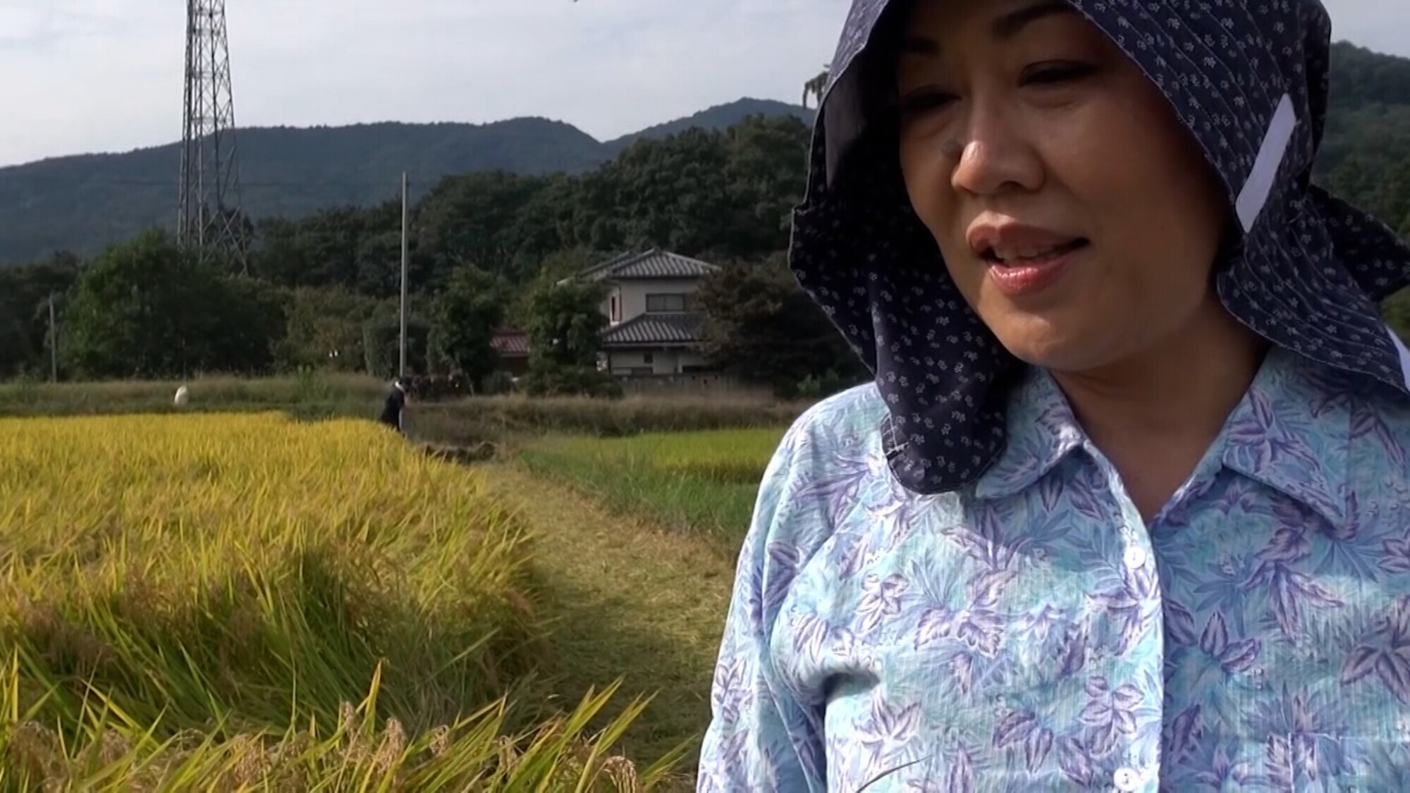 稲刈り作業中の熟女に突撃撮影!旦那さんの要望でAV出演する事になった素朴な六十路の田舎熟女が破廉恥性交! 画像1