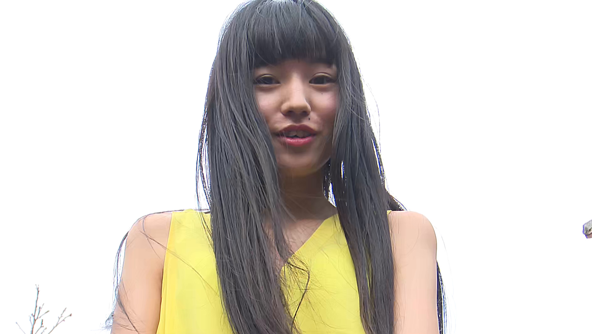 サンプル画像 1