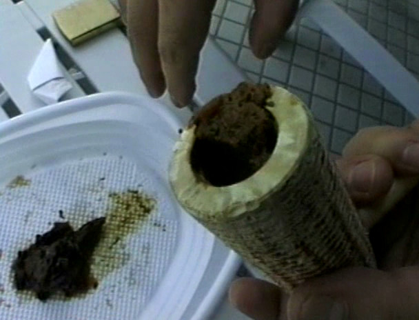 穴の汚物臭辺マニア御用達 アナダス!! アナタの汚物を味見したい。 画像13