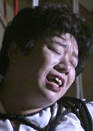 御主人様と女王様W調○ AXDVD0312R