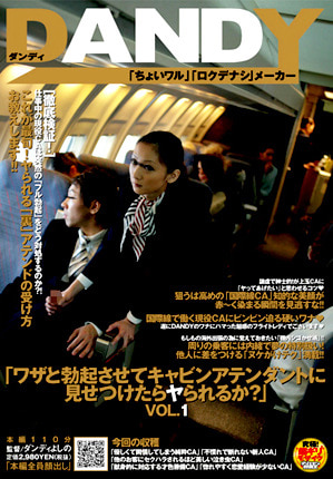 「ワザと勃起させてキャビンアテンダントに見せつけたらヤられるか？」