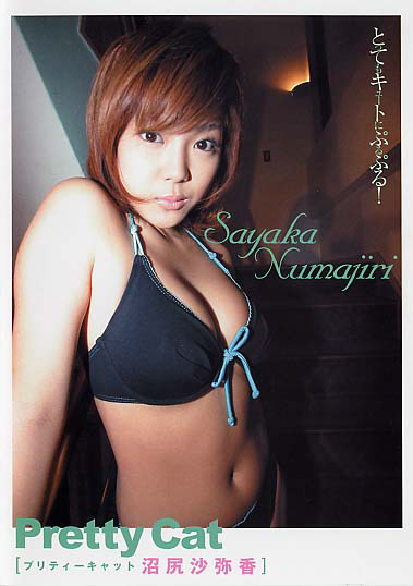 沼尻沙弥香 プリティーキャット
