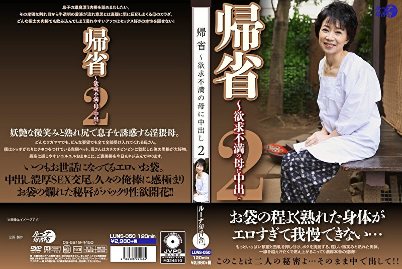 帰省～欲求不満の母に中出し 2
