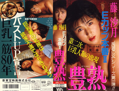 Eカップ本番Ⅱ 豊熟 藤沙月