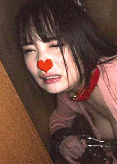 画像の説明