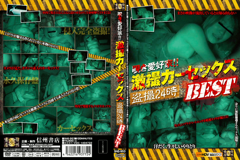 覗き愛好家！！激撮カーセックス盗撮24時BEST