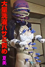 夏美