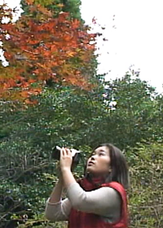 縄 8 打ち・挿入・