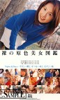 裸の原色美女図鑑