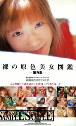 裸の原色美女図鑑 第3章