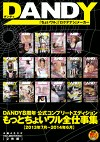 DANDY8周年公式コンプリートエディション もっとちょいワル全仕事集 2013年7月～2014年6月