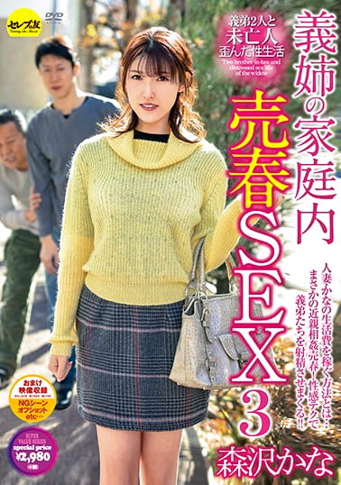 義姉の家庭内売春SEX3 森沢かな