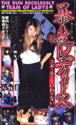 暴走レディース コギャルなんていわせない｜メーカー：Fan