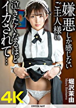 画像の説明
