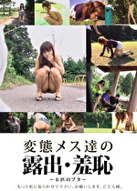 変態メス達の露出・羞恥