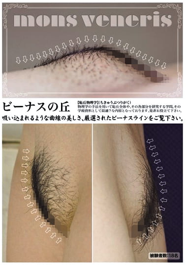 ビーナスの丘