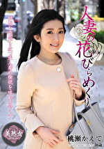 画像の説明