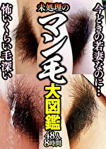 画像の説明