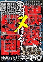 ヘンリー塚本原作 絶対ヌける！●●（●●●●）図画 快楽にのたうついい女-新作撮り下ろし過激SEX集-