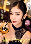 Red Dragon 小松杏