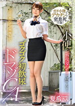 画像の説明