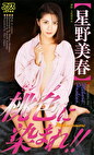 桃色に染まれ！！ 星野美春