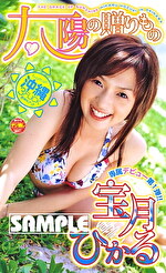 太陽の贈りもの 宝月ひかる