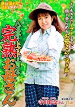 画像の説明