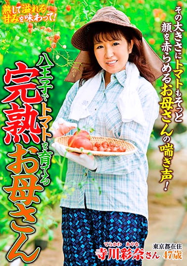 八王子でトマトを育てる完熟お母さん 寺川彩奈