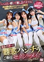 完全サポート！誘惑パンチラご奉仕セクシーメイド