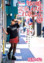 画像の説明