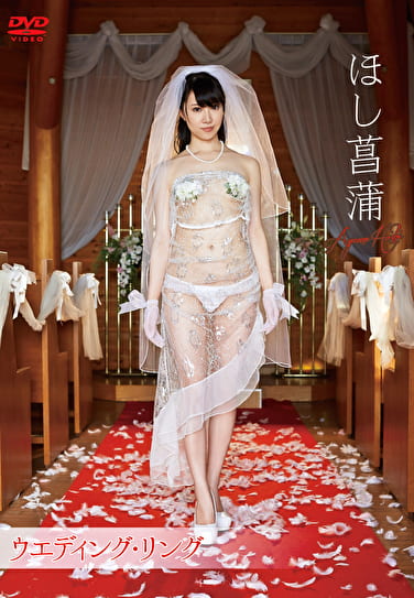ウエディング・リング ほし菖蒲