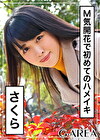さくら