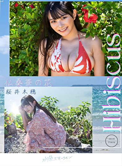 Hibiscus 桜井木穂