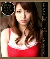 HD SELECTION Very Best of 秋山祥子 1st Anniversary