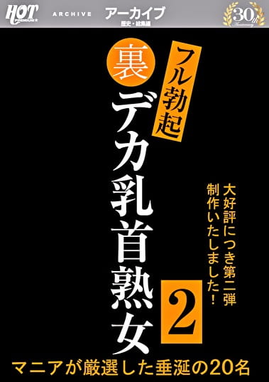 裏フル勃起デカ乳首熟女 2 マニアが厳選した垂涎の20名