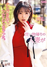 買い物帰りの人妻がナンパされてついて行っちゃった 美ノ嶋めぐり