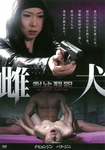 雌犬