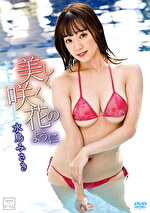 美しく咲く花のように 水鳥み…の画像