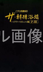 ザ・特殊浴場3 ハイテクバイオレンス編