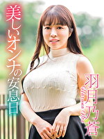 画像の説明