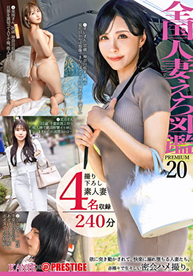 全国人妻えろ図鑑 PREMIUM 20