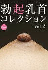 勃起乳首コレクションVol.2