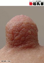 じっくりと接写撮影した勃起乳首