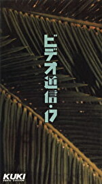 ビデオ通信 17