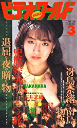 ビデオワールド 3