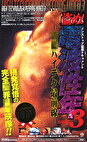 盗め ！電波性年 Vol.3 -ハイテク最前線-