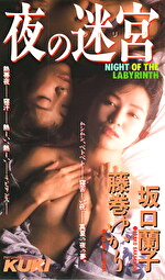 夜の迷宮 藤巻ゆかり、坂口蘭子