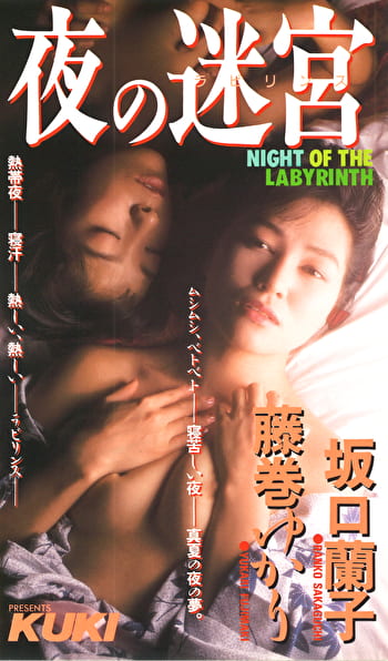 夜の迷宮 藤巻ゆかり、坂口蘭子